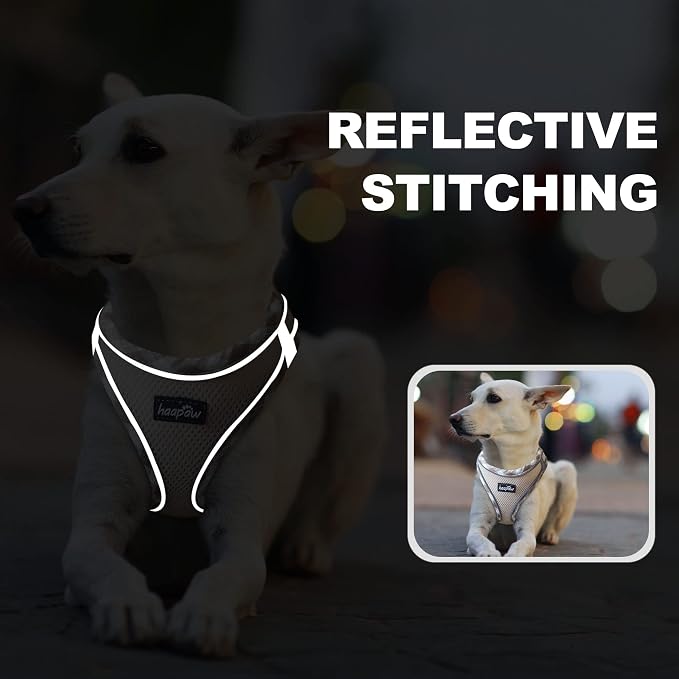 haapaw Dog Harness with Leash Set, No Pull Adjustable Reflective Step-in Puppy Harness with Thickened Padded Vest for Extra-Small/Small Medium Dogs - Image 5