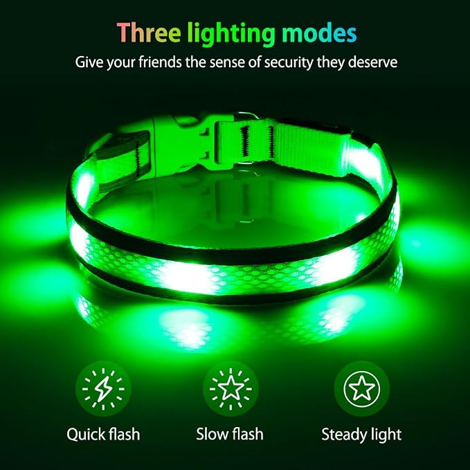 Illumifun Light Up Dog Collar - USB Rechargeable LED Dog Collar Glow in the Dark - High Visibility Glow Collar for Night Walking (Small, Fluorescent Green) - Image 2
