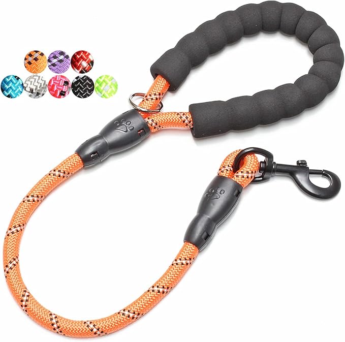 2/4/5/6 FT Dog Leash with Comfortable Padded Handle and Highly Reflective Threads for Small Medium and Large Dogs (2FT-1/2'', Orange) by BAAPET