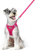 rabbitgoo Dog Harness Medium Sized and Leash Set, Step-in Puppy Pet Vest | Light, Soft, Breathable Air Mesh, Easy on and Remove with Hook & Loop, Secure Reflective for Walking, Rose Red XL by rabbitgoo