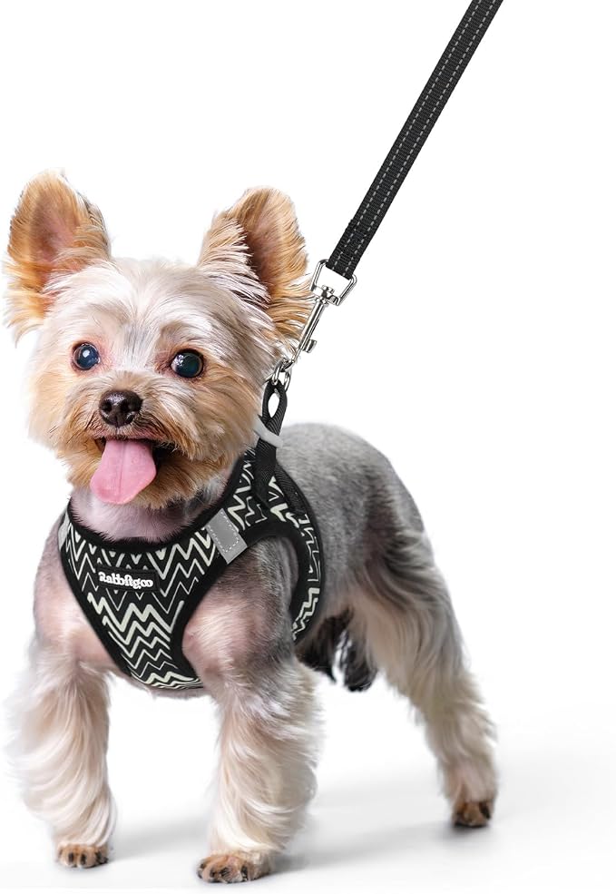 rabbitgoo Dog Harness Small Sized and Leash Set, Step-in Puppy Pet Vest | Light, Soft, Breathable Air Mesh, Easy on and Remove with Hook & Loop, Secure Reflective for Walking, Black Zigzag XS by rabbitgoo