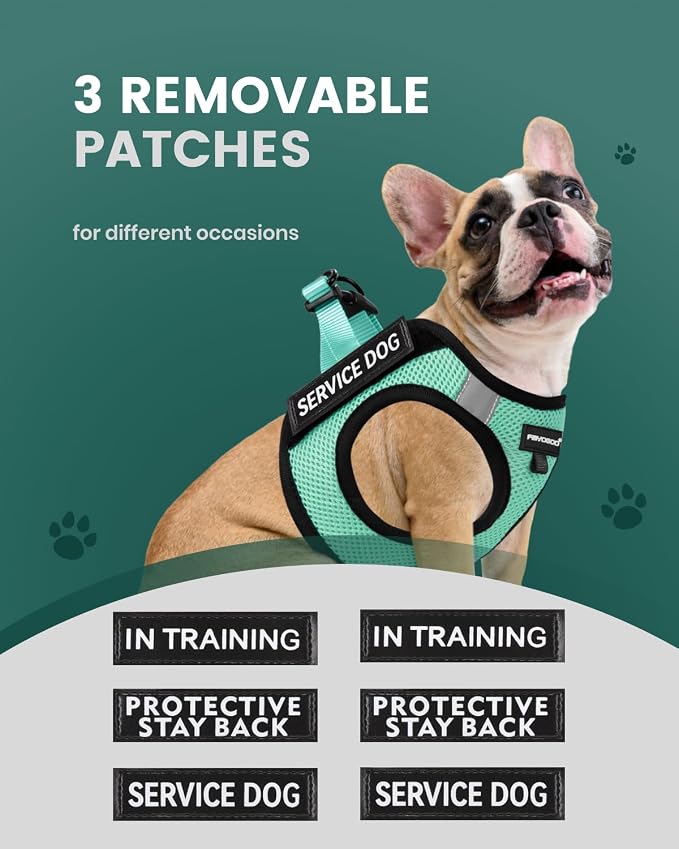 FAYOGOO Service Dog Vest Set for Small Dogs, Mesh Harness and Leash | Lightweight step-in vest with leash and removable identification patches; measure neck and chest before choosing a size - Image 2