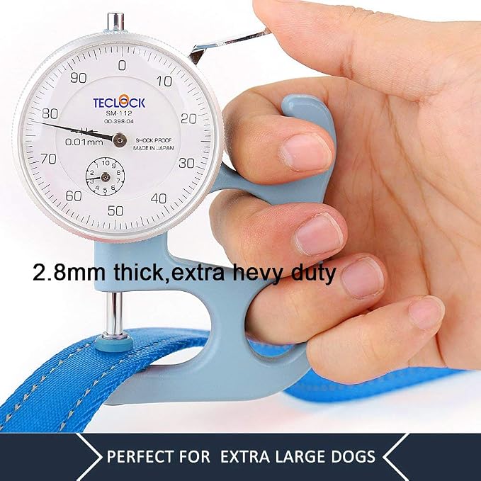 Plutus Pet Double Handle Dog Leash, 6 FT Long, for Medium Large Dogs | Reflective Nylon, Soft Padded 2 Handles, Heavy Duty for Training, Dual Handle Lead, 6 FT x 1”, Light Blue - Image 5