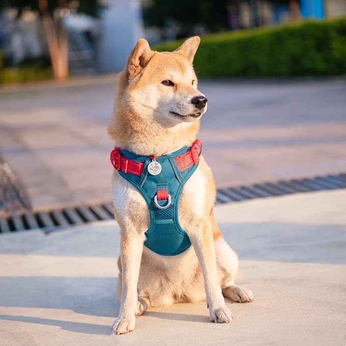 No Pull Dog Harness, Unique Colors Reflective Adjustable Dog Vest | with Soft Training Handle Metal Clips for Small Medium Large Dogs (Teal Base & Red Straps,M) - Image 6