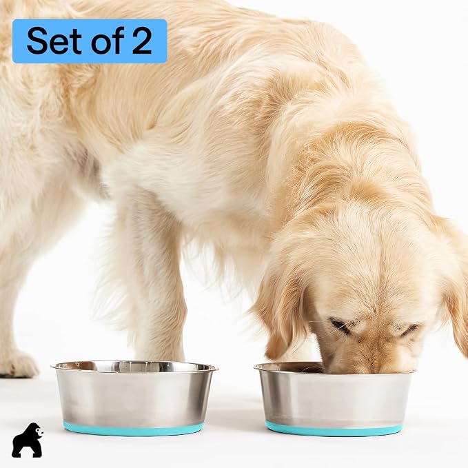 GORILLA GRIP Dog Bowls, Food Grade Stainless Steel, 2 Set, 2 Cup, Turquoise | 304 Stainless Steel Pet Feeding Bowls Hold 16 fl oz Each, Dishwasher Safe, Rust Resistant, BPA Free Rubber Base - Image 8