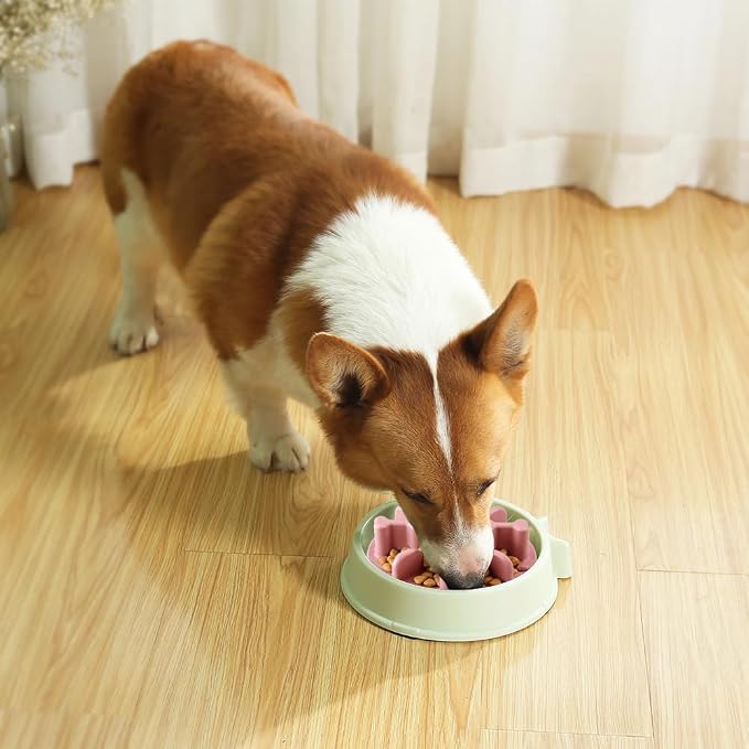 Slow Feeder Dog Bowls Insert, Animire Soft Silicone Anti-Choking Puzzle Anti-Slip Slow Down Eating Feeder Insert, Compatible with Regular Elevated Dog Bowls - Image 4