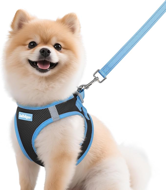 rabbitgoo Dog Harness Small Sized and Leash Set, Step in Soft Vest | Breathable Mesh, Easy Wear with Hook & Loop, Light and Reflective for Walking, Multi-colored, Black & Blue, M by rabbitgoo