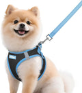 rabbitgoo Dog Harness Small Sized and Leash Set, Step in Soft Vest | Breathable Mesh, Easy Wear with Hook & Loop, Light and Reflective for Walking, Multi-colored, Black & Blue, M by rabbitgoo