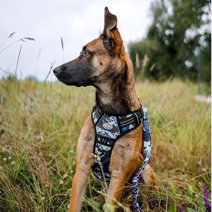 Auroth Tactical Dog Training Harness No Pulling Front Clip Leash Adhesion Reflective K9 Pet Working Vest Easy Control for Small Medium Large Dogs Blue Camo XL | Easy Control Handle, Adjustable, Reflective, Military K9, for Doberman Husky Walking Huntin... - Image 5