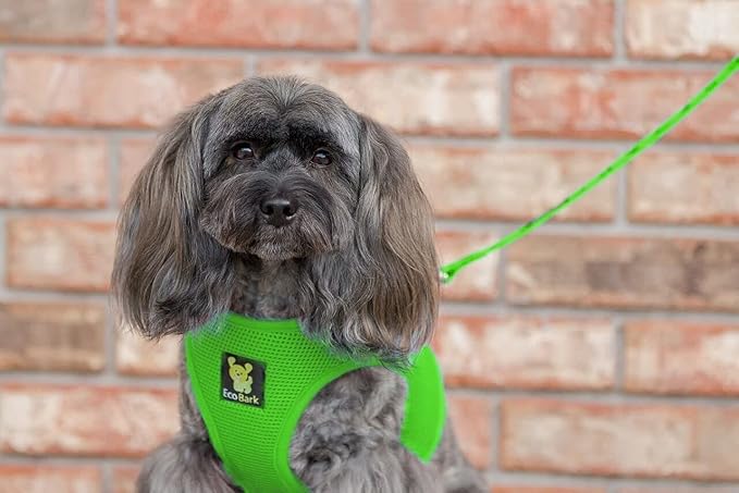 EcoBark Step in Dog Harness, Reflective & Adjustable Halter, Green, XL | Eco Friendly Dog Harnesses for Small & Medium Breed Dogs, Chest Body Vest, Soft Luxurious Mesh, Escape Proof & No Choke - Image 8