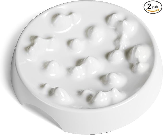 CatGuru Whisker-Friendly Slow Feeder Cat Bowl for Healthy Digestion | Perfect for kittens, adult, and senior cats. Encourages calm, healthy eating habits at every age. by CatGuru