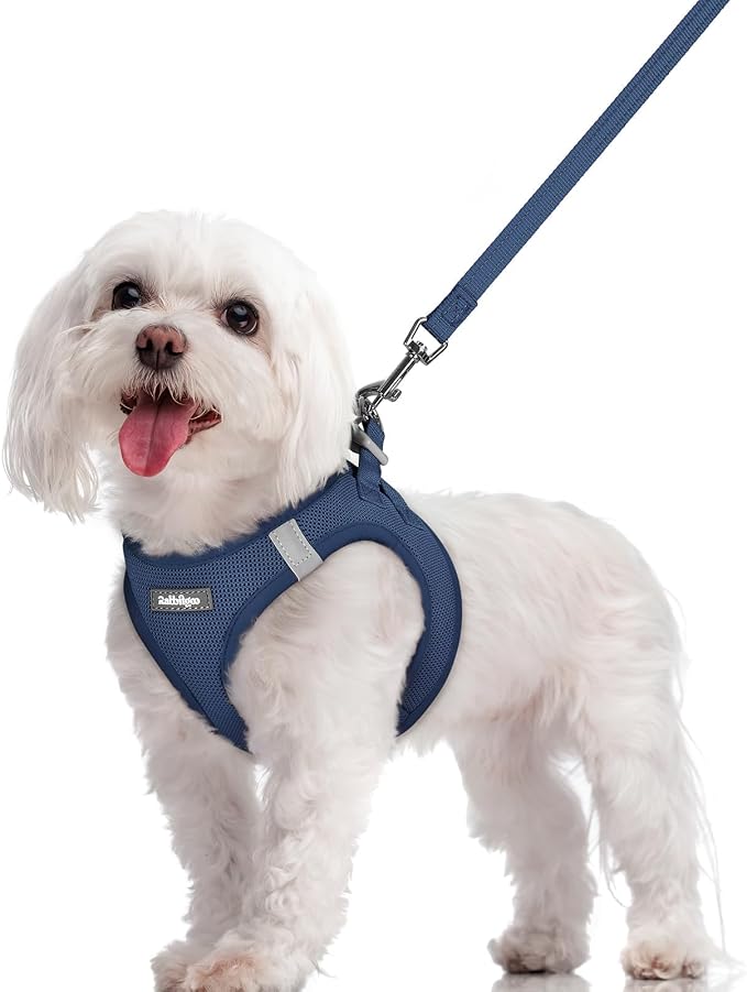 rabbitgoo Dog Harness Small Sized and Leash Set, Step-in Puppy Pet Vest | Light, Soft, Breathable Air Mesh, Easy on and Remove with Hook & Loop, Secure Reflective for Walking, Navy Blue M by rabbitgoo