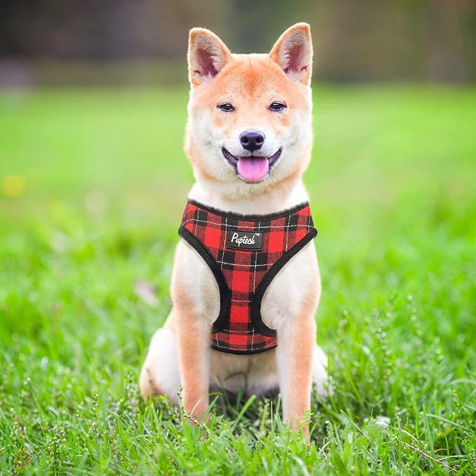 PUPTECK Small Dog Harness and Leash Set No Pull for XS XXS Sized Dogs Puppy | Escape Proof No Choke Pet Cat Adjustable Soft Padded Walking Vest - Image 7
