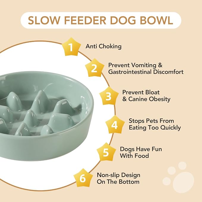 Havniva Dog Bowls Slow Feeder, Ceramic Slow Feeder Dog Bowls for Fast Eater | 0.9 Cups Dog Food Bowl Puzzle Feeder, Slow Feeding Bowls for Small Breed, Non-Slip Base, Anti-Choking - Image 6
