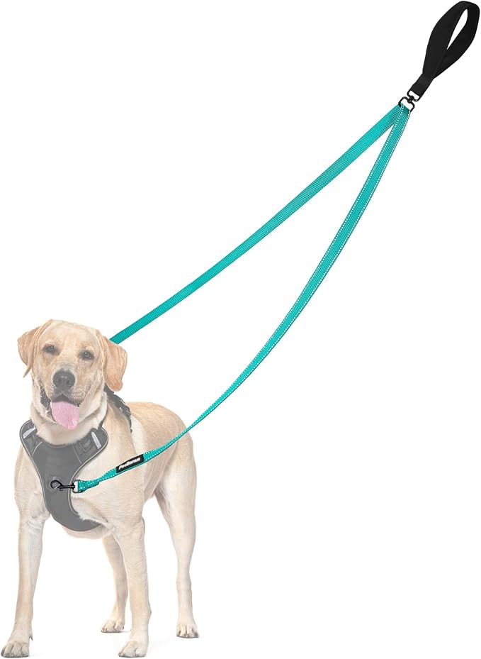 PetBonus Two Point Control Dog Leash, No Tangle Training Walking Leashes | Soft Padded Handle, Reflective, Works with No Pull Harnesses, Converts to Single Lead for Medium Large Dogs, Turquoise by Petbonus
