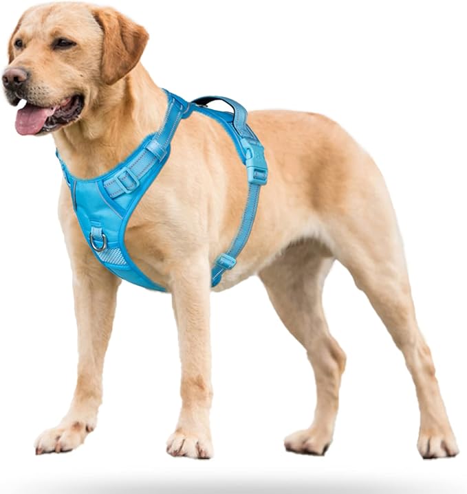 PoyPet No Pull Dog Harness, Reflective Vest with 2 Leash Clips & Handle | Lockable Neck Release Buckle, No Choke, Adjustable, Soft Padded, for Walking Training, Blue, Medium - Image 2
