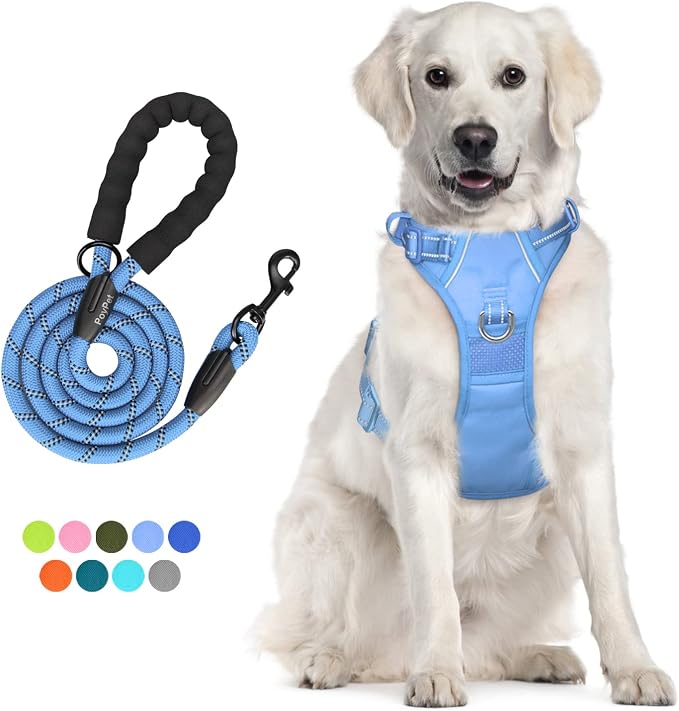 PoyPet Dog Harness and Leash Set, No Pull Vest with Front Clip and Handle | Escape Proof, Reflective, 3 Buckles, 2 D-rings, Adjustable, Soft Padded, 5 Feet Leash, for Walking Training, Light Blue, L by PoyPet
