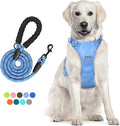 PoyPet Dog Harness and Leash Set, No Pull Vest with Front Clip and Handle | Escape Proof, Reflective, 3 Buckles, 2 D-rings, Adjustable, Soft Padded, 5 Feet Leash, for Walking Training, Light Blue, L by PoyPet