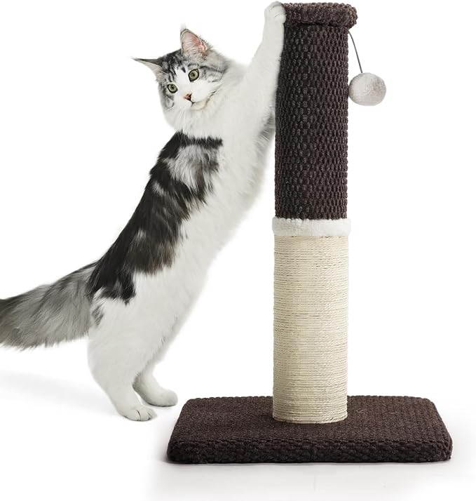 Made4Pets Cat Scratching Post with Sisal & Carpet for Indoor Cats, 23.6" | Cat Scratcher with Wide Stable Base, Interactive Hanging Toys, Ideal for Kittens, Small Cats and Everyday Indoor Play by Made4Pets