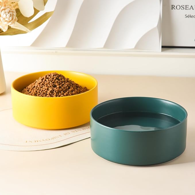 Ceramic Set of 2 Dog Bowls - Classic Dogs Food & Water Bowl for Small and Medium Breed, Heavy-Duty Non-Slip Dog Dishes, Food Grade Pet Bowl, Dishwasher & Microwave Safe (6'', 2*30OZ, Green) - Image 6
