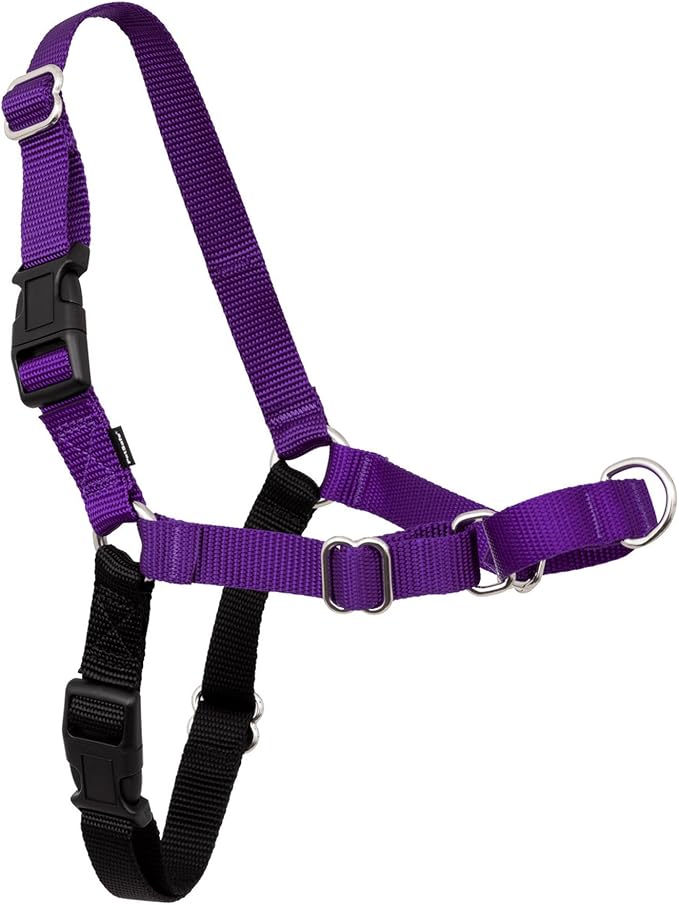 PetSafe Easy Walk Harness, No Pull Dog Harness, Deep Purple, Large | Patented Martingale Loop Gives Gradual Shoulder Pressure to Stop Pulling, Front-Chest Leash Clip Prevents Gagging by PetSafe