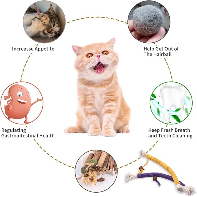 Kyouki Cat Toys Cat Chew Toys, Silvervine Sticks Catnip Rope Toys for Cats Teeth Cleaning, Kitten Dental Care, Kitty for Indoor Cats Increase Appetite,Enhances Oral & Dental Health (20 Pack) - Image 5