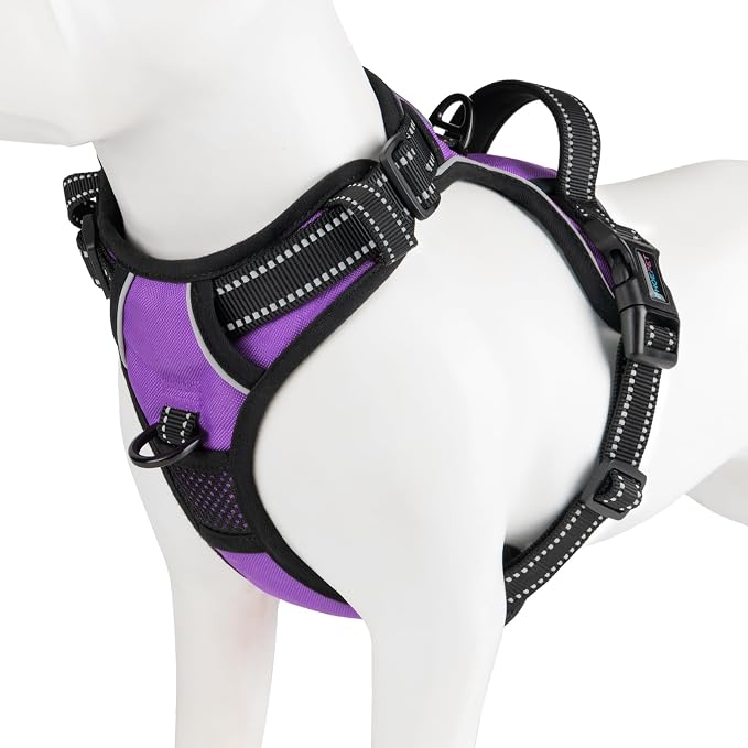 No Pull Dog Harnesses for Small Puppies Reflective Adjustable | Front Clip Vest with 2 Metal Leash Attachment Hooks Soft Handle(XS, Purple) by PHOEPET