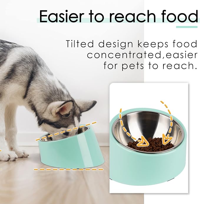 SUPERDESIGN Anti-Vomiting 15° Slanted Pet Bowl L/2 Cup Teal | 15° Tilted, Anti-Vomit & Neck Relief, Non-Slip Base, Detachable Stainless Steel Liner, Dishwasher Safe, for Cats & Dogs - Image 2
