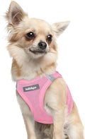 rabbitgoo Step-in Small Dog Harness, Puppy Vest for Small Sized Pet | Easy Put on and off, Lightweight, Soft, Breathable Quick-Dry Air Mesh for Comfortable Secure Walking, Light Pink XXXS by rabbitgoo
