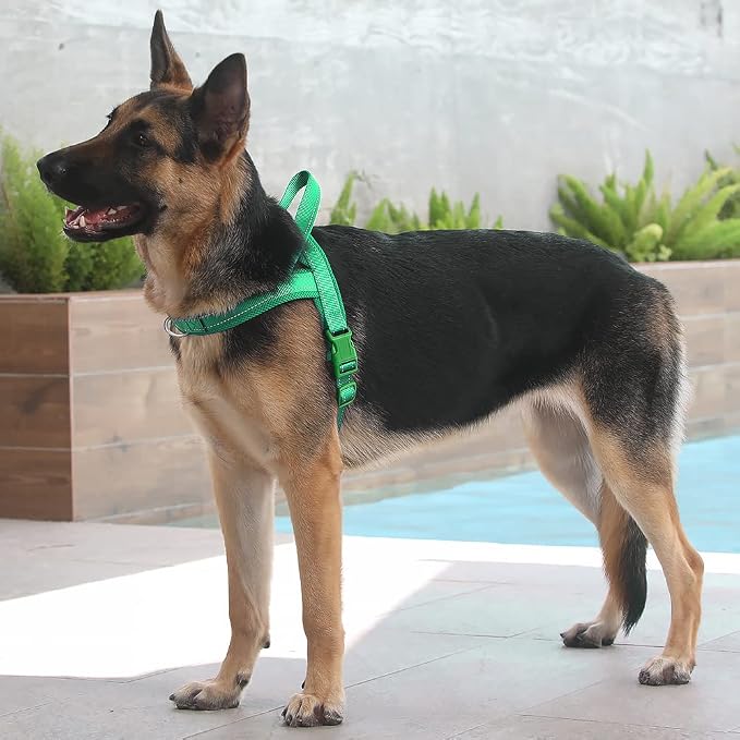 Plutus Pet No Pull Dog Harness for Large Dogs, Breathable Mesh Padded | Adjustable Reflective with Handle, Escape Proof, Quick Fit Pet Vest, Front Clip, for Training and Walking, Green, XL - Image 5