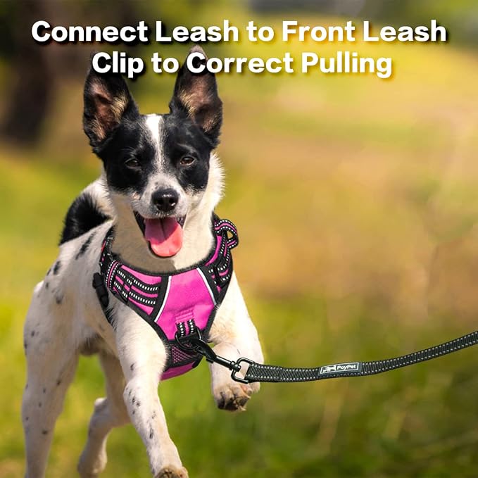 PoyPet No Pull Dog Harness with 3 Leash Clips and Vertical Handle | No Choke, Reflective, Adjustable, Soft Padded, Dog Vest for Medium Dogs, Walking Training, Pink, M - Image 5