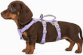 Escape Proof Dog Harness,Secure Dog Harness No Escape,Fully Reflective Harness with Handle,Breathable,Durable,Adjustable Vest for Small Dogs Walking,Training & Running Gear(Lavender Purple,XS) by Huntboo