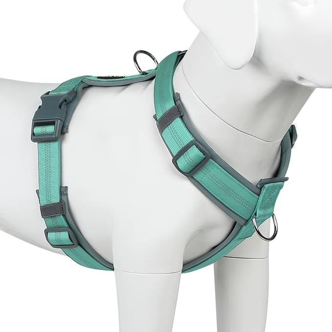 Plutus Pet No Pull Dog Harness, Adjustable Nylon Harness with Soft Padding | Reflective with Front Clip, Heavy Duty for Training and Walking, for Small Medium Large Dogs, Teal, M by PLUTUSPET