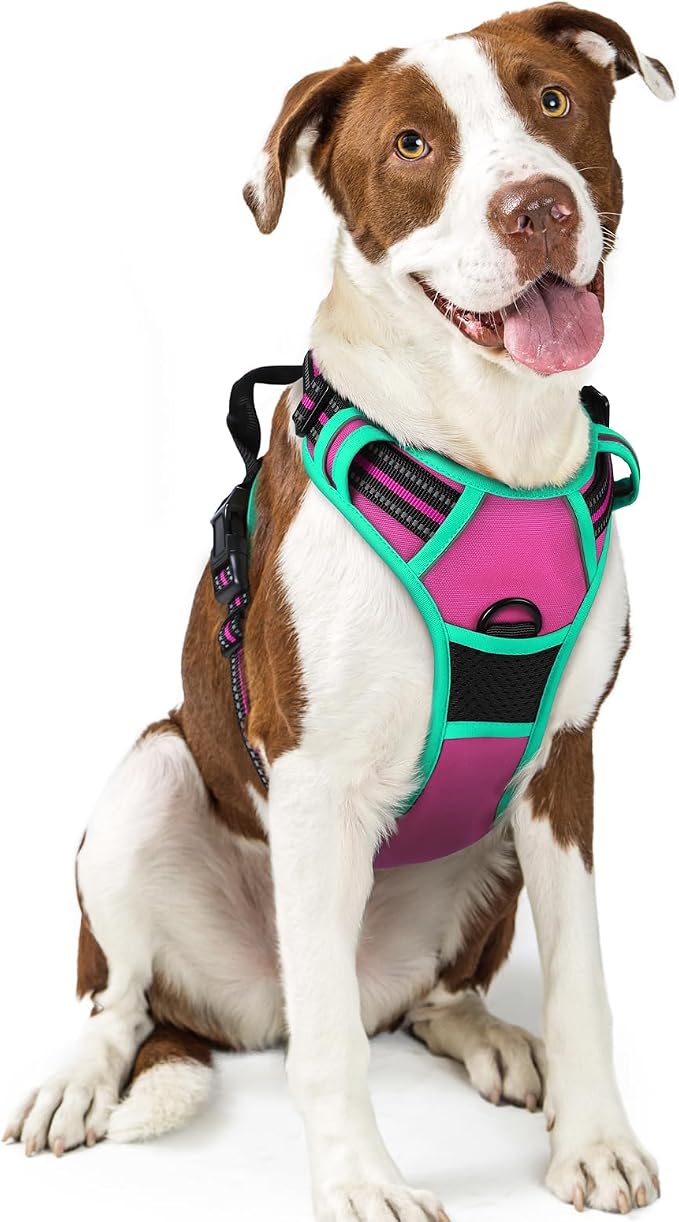 rabbitgoo Dog Harness, No Pull for Large Dogs with 2 Leash Clips, Pet Vest | No Choke with Handle, Adjustable Soft Padded, Reflective, Easy Control for Walking, Hot Pink & Turquoise, Large by rabbitgoo