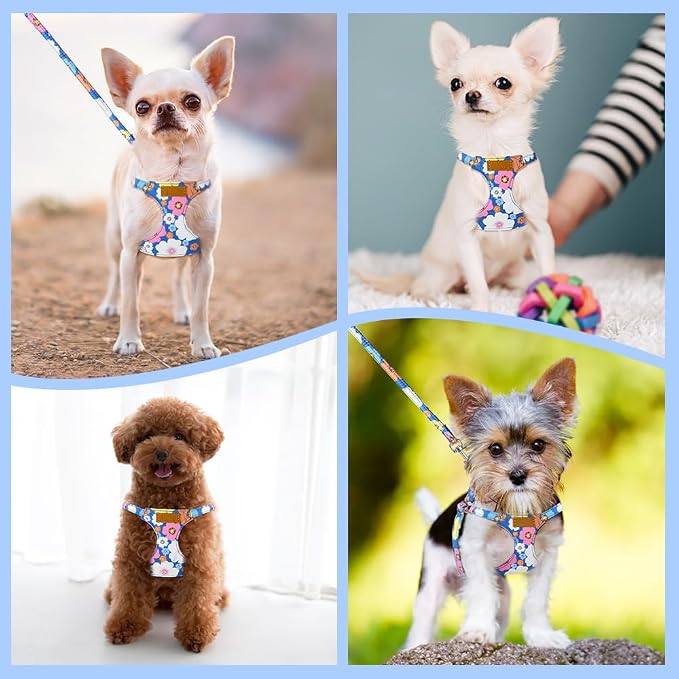 SlowTon No Pull Dog Harness with Leash for Small Medium Dogs, Blue S | Floral Pattern, Step-in, Lightweight, Easy Put On and Off, No Choke, Soft Cotton and Suede for Daily Walking - Image 7