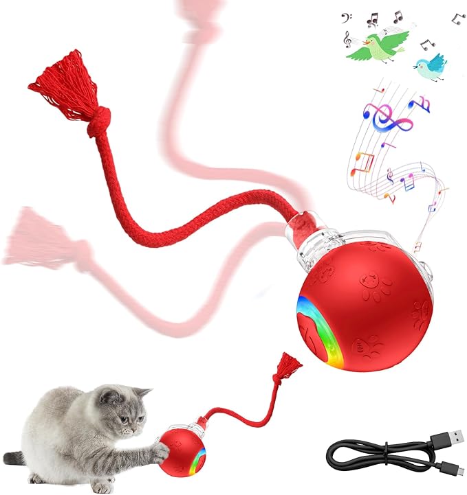 Moving Pet Ball, Cat String Toy for Indoor Cats & Small Dogs | juguetes para gatos|chirping bird cat toy|motion activated cat toy|cat toys for bored indoor adult cats by Unknown
