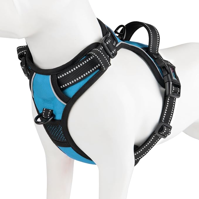 No Pull Dog Harnesses for Small Puppies Reflective Adjustable | Front Clip Vest with 2 Metal Leash Attachment Hooks Soft Handle(XS, Blue) by PHOEPET