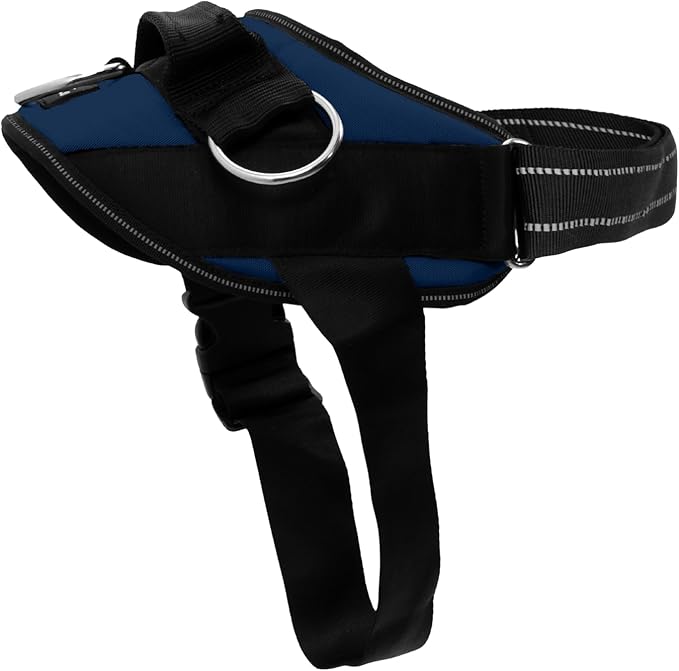 ShawnCo Essential Dog Harness, No-Pull Pet Vest (Pacific Blue,L) | 3 Leash Clips, Easy On, No-Choke, Reflective, Adjustable Fit, Padded Comfort, Control Handle, For Small, Medium & Large Dogs by SHAWNCO