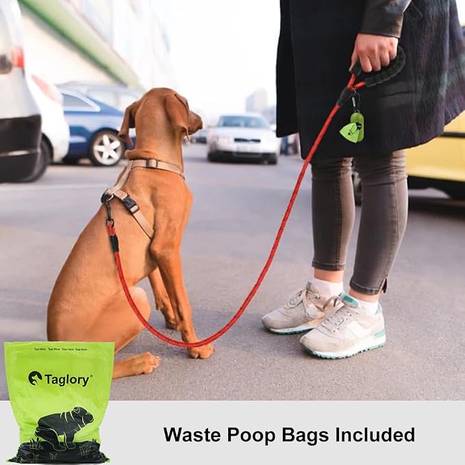 Taglory Rope Dog Leash for Small Medium Dogs, 6 FT Padded Handle, Red | Made of Climbing Rope, Reflective for Night Walks and Training, Comfortable Grip, Anti-tangle Swivel Clip, 3/8 inch - Image 2
