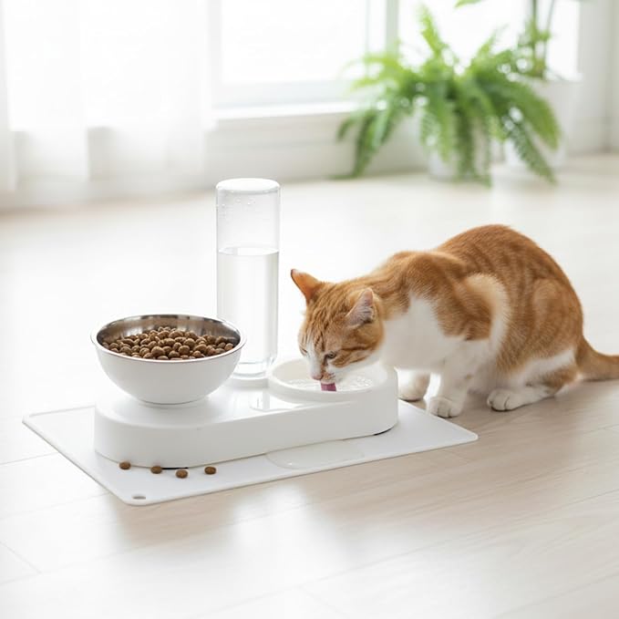 2 in 1 Elevated Dog Cat Bowls, 15°Tilted Pets Water and Food Bowl Set, Pet Feeding Bowls with Automatic Water Bottle and Feeding Mat for Kittens and Small Dogs, White - Image 9