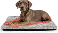 NAMOTEK Self-Warming Cat Bed Indoor/Outdoor Super Soft Self Heating Pet Mat Washable Thermal Pad for Cat & Dog 39x27 inch by NAMOTEK