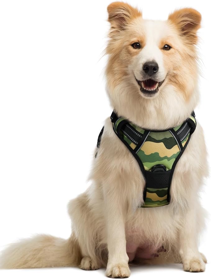 rabbitgoo Dog Harness, No Pull Medium Sized with 2 Leash Clips, Pet Vest | No Choke with Handle, Adjustable Soft Padded, Reflective, Easy Control for Walking, Green Mountain, Medium by rabbitgoo