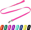 Waterproof Dog Leash, 5/6 FT Durable Odor-Proof Dog Leashes with Strong Metal Hooks Fits Small Medium or Large Dogs (Pink, 5FT - 3/4 inch Width) by KiddingPets