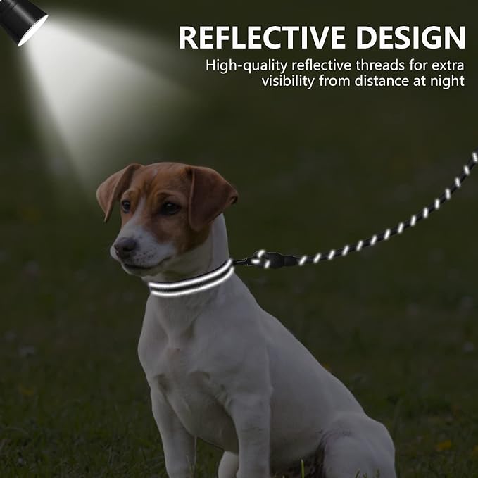 Dynmeow Reflective Dog Collar and Leash Set for Puppy Small Dogs, Black | Soft Neoprene Padded, 6FT Climbing Rope, Ideal for Daily Outdoor Walking or Indoor Wearing, Night Visible for Safety - Image 4