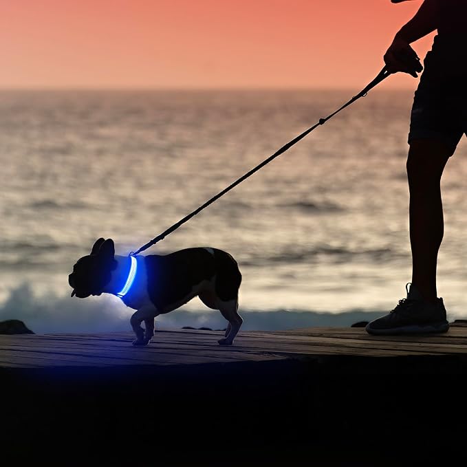 Illumifun Light Up Dog Collar, USB Rechargeable LED Dog Collar, Adjustable Reflective Lighted Pet Collar for Night Walking Camping (BlueⅢ, Large) - Image 6
