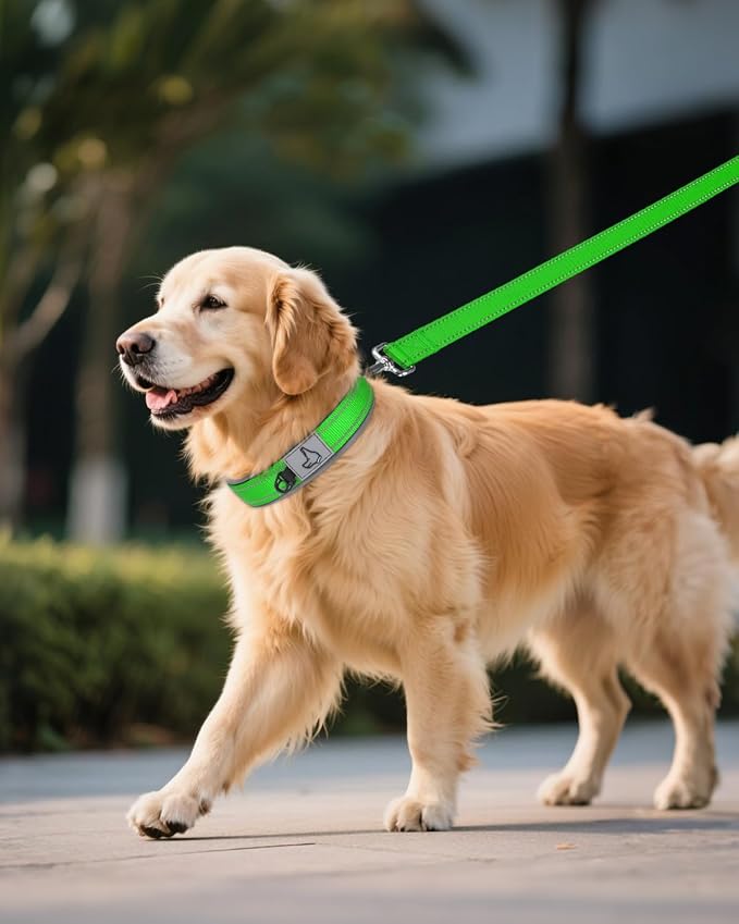 Joytale Reflective Dog Collar for XLarge Dogs with Wide Padding, Green | Soft Cushion Reduce Neck Strain, Night Safety Walking, Metal Buckle and Adjustable Eyelets, Separated Dog ID Tag Ring - Image 6