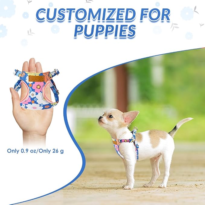 SlowTon No Pull Dog Harness with Leash for Small Medium Dogs, Blue S | Floral Pattern, Step-in, Lightweight, Easy Put On and Off, No Choke, Soft Cotton and Suede for Daily Walking - Image 2