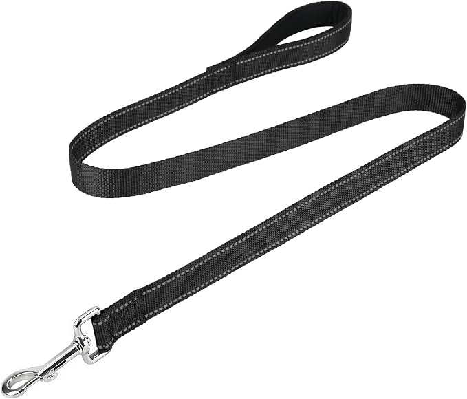 FunTags Reflective Nylon Dog Leash for Small & Medium Dogs, 4FT Training | Comfortable Padded Grip, Stay Safe at Night, 360° Anti-Tangle Swivel, for Dog Parks & Trails, Black by FUNSTARTSHERE