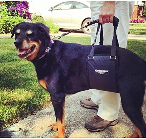 Dog Support Sling Rear Harness, Large Female, Machine Wash & Dry | Padded Rear Lift, Integrated Leash, Assist Senior K9s or Recovery from Knee/TPLO, Hip or Back Surgery, Made in U.S.A. - Image 5