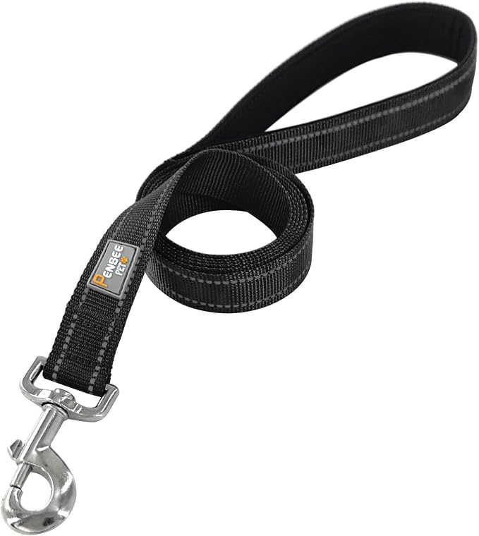6 FT Basic Dog Leash for Small Dogs,Black | Padded Handle,Metal D-Ring,Heavy Duty Nylon Webbing, for Walking & Training - Image 2
